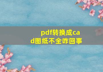 pdf转换成cad图纸不全咋回事