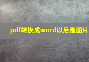 pdf转换成word以后是图片