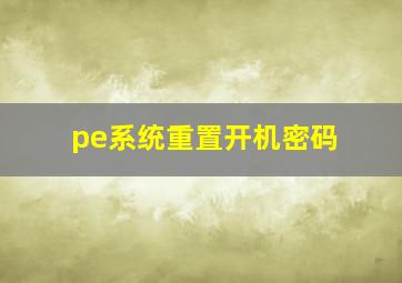 pe系统重置开机密码