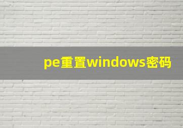 pe重置windows密码