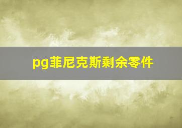 pg菲尼克斯剩余零件