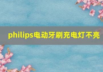 philips电动牙刷充电灯不亮