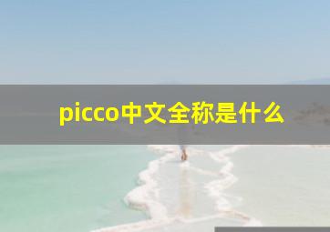 picco中文全称是什么