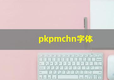 pkpmchn字体