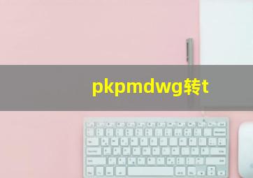 pkpmdwg转t