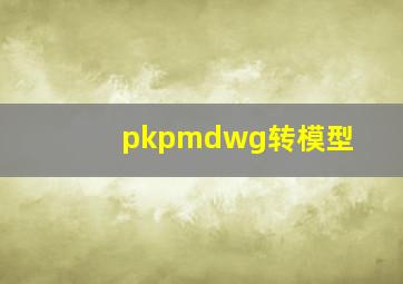 pkpmdwg转模型