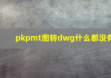 pkpmt图转dwg什么都没有