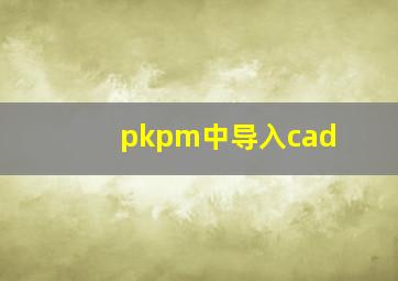 pkpm中导入cad