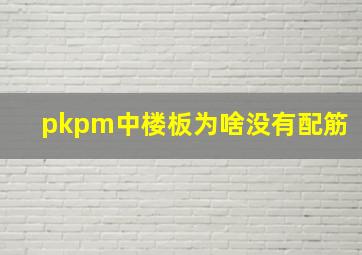 pkpm中楼板为啥没有配筋