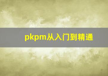 pkpm从入门到精通