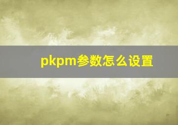 pkpm参数怎么设置