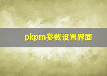 pkpm参数设置界面