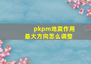 pkpm地震作用最大方向怎么调整