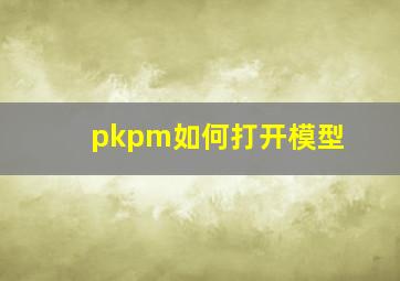 pkpm如何打开模型