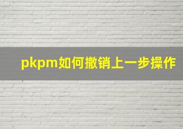 pkpm如何撤销上一步操作