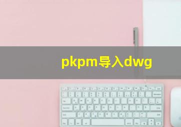 pkpm导入dwg