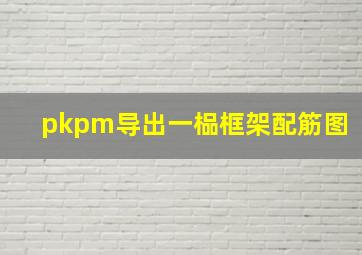 pkpm导出一榀框架配筋图