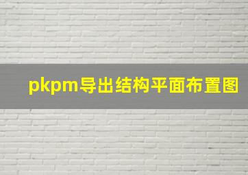 pkpm导出结构平面布置图