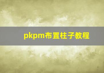 pkpm布置柱子教程