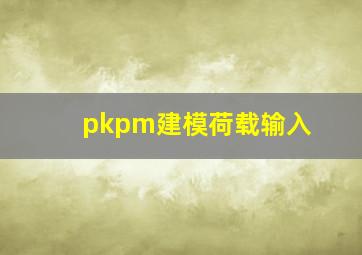 pkpm建模荷载输入