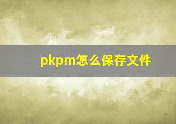 pkpm怎么保存文件