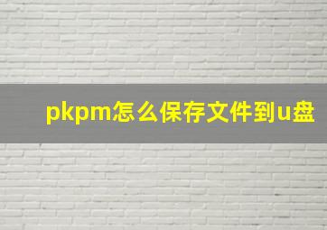 pkpm怎么保存文件到u盘