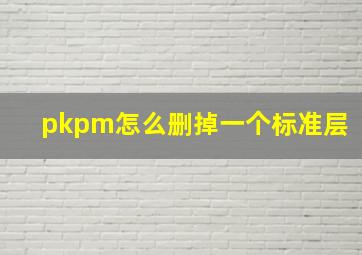 pkpm怎么删掉一个标准层