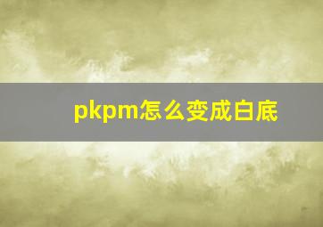 pkpm怎么变成白底