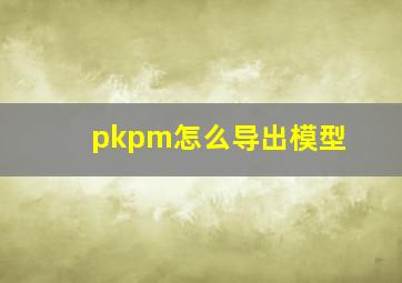 pkpm怎么导出模型