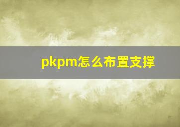 pkpm怎么布置支撑