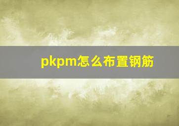 pkpm怎么布置钢筋