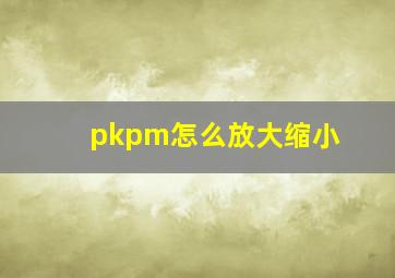 pkpm怎么放大缩小