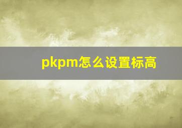 pkpm怎么设置标高