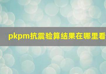 pkpm抗震验算结果在哪里看