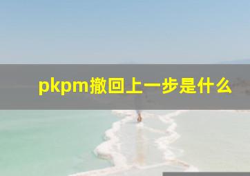 pkpm撤回上一步是什么