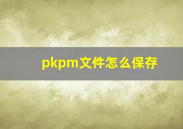 pkpm文件怎么保存