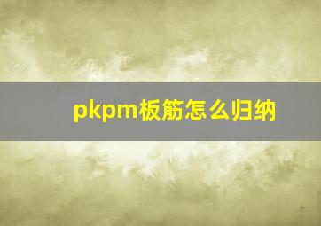 pkpm板筋怎么归纳