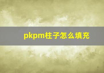 pkpm柱子怎么填充