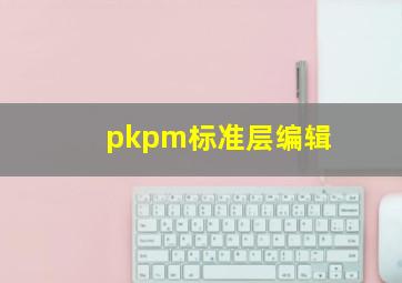 pkpm标准层编辑