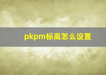 pkpm标高怎么设置