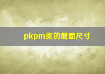 pkpm梁的截面尺寸