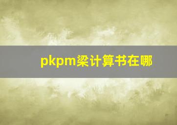 pkpm梁计算书在哪