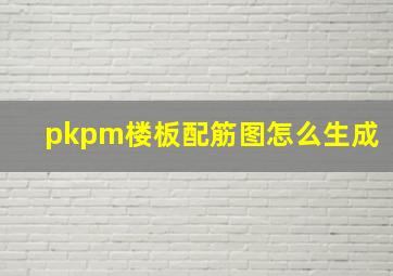 pkpm楼板配筋图怎么生成