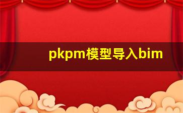 pkpm模型导入bim