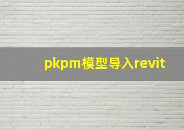 pkpm模型导入revit