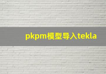 pkpm模型导入tekla