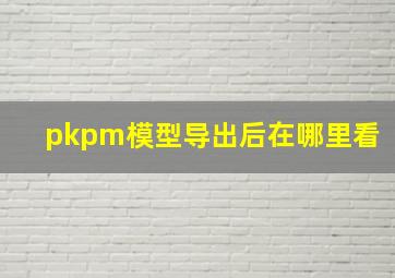 pkpm模型导出后在哪里看