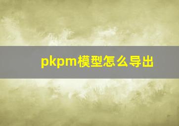 pkpm模型怎么导出