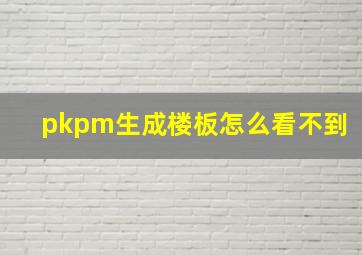 pkpm生成楼板怎么看不到