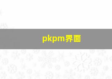 pkpm界面